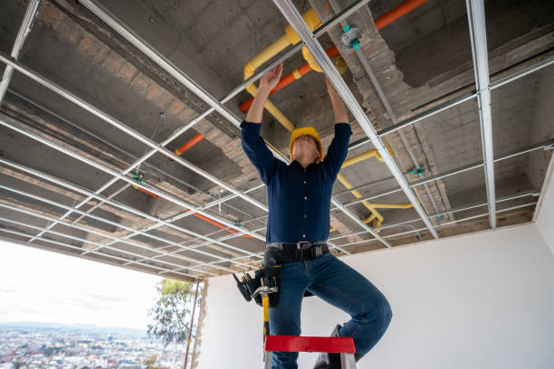 Best Plumbing Inspection Services  in Tiburon, CA